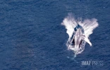 baleines septembre 2023