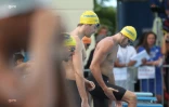 Natation 