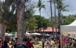 Saint-Leu : seuls 18 kilos de déchets produits lors du festival Zéro Déchet La Réunion