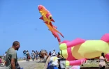 Marmay's en l'air : les cerfs-volants font le show à Saint-Pierre