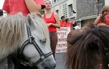 Chevaux