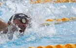 natation 