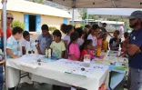 Lutte contre la dengue Plaine Saint-Paul