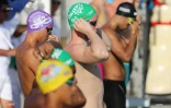 meeting natation 2017