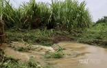 Fortes pluies dans l'est