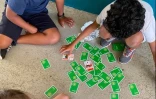 Watty à l'école : un programme pour sensibiliser au changement climatique 