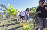 inauguration du bureau d'information du tourisme à la Nouvelle mafate 