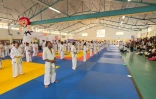 Plus de 160 karatékas réunis pour le passage départemental de grades de la KWF France Réunion