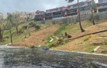 cyclone 