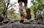 Grand Raid 2023