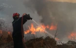 Dash 8 pour Feu de broussailles Ă Savannah Saint-Paul