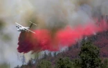 Près de Mariposa, en Californie, le 24 juillet 2022