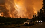 Une forêt recouverte par le feu de l'incendie "Oak Fire", dans le comté de Mariposa en Californie le 23 juillet 2022