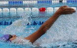 Natation