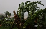 Cyclone Belal : inondations et rivières en crues dans l'Ouest de l'île [?]