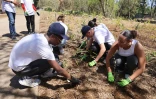 FAZSOI et le Plan départemental 1 Million d'Arbres pour La Réunion