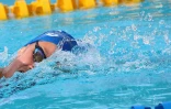 Meeting natation 2015