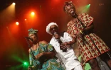 Andrew Tosh
