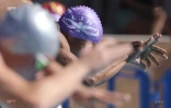 Championnat de natation de La Réunion