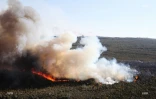 Feu du Maïdo
