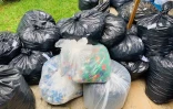 Collecte de piles usagée