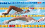 meeting natation 2015