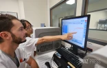  chikungunya analyse sang 