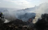 Les Avirons: Incendie la lisière de la forêt domaniale 