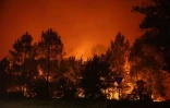 Un incendie d'une grande virulence à Le Porge en Gironde, le 23 juillet 2026 ( AFP / ROMAIN PERROCHEAU )