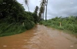 ravine en crue 