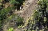 Grand Raid 2023