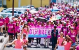 Octobre Rose : Saint-Benoît mobilisée contre le cancer du sein