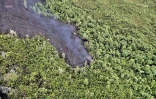 Volcan