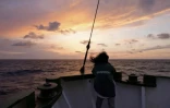 Contre une pêche "destructrice", Greenpeace largue des blocs de pierre en mer dans la Manche