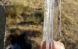 Grand froid et gelées sur La Réunion