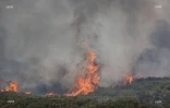 Incendie au Maïdo : la fumée visible de loin 