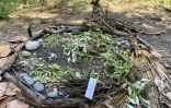 Land art