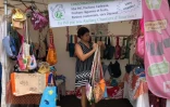 Appel à projets pour la semaine du développement durable