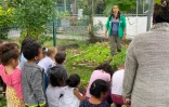Saint-Leu : l'école Fontaine remporte la coupe de France du potager [