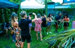 Saint-Benoît : Ilet 3000, rendez-vous en terre imaginaire au Bisik