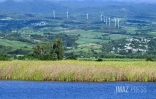 Etang Bois rouge