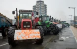 Les fermiers manifestent contre la baisse des prix de leurs produits à Boulogne-sur-Mer, le 2 février 2016