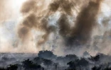 Des colonnes de fumée s'élèvent après un incendie dans un champ provoqué par la chute de roquettes lancées depuis le sud du Liban près de Katzrin, sur le plateau du Golan occupé par Israël, le 13 juin 2024