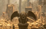 Une gargouille a survécu à l'incendie qui a réduit une résidence en cendres, le 9 novembre 2018, à Paradise, en Californie.