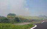 Feu de cannes à Sainte-Suzanne 31 août 2016