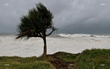 cyclone Batsirai houle côte est 2 février 2022