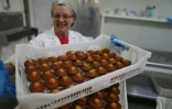 Une employée de la biscuiterie Jeannette montre une nouvelle fournée de madeleines, dans l'unité de production de Démouville, le 26 janvier 2016