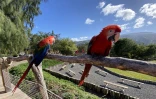ZOO Etang-Salé