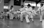 Phoenix Kyokushinkai Karaté