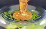 Le réunnionnais Julien Leveneur remporte la finale régionale du Dessert 